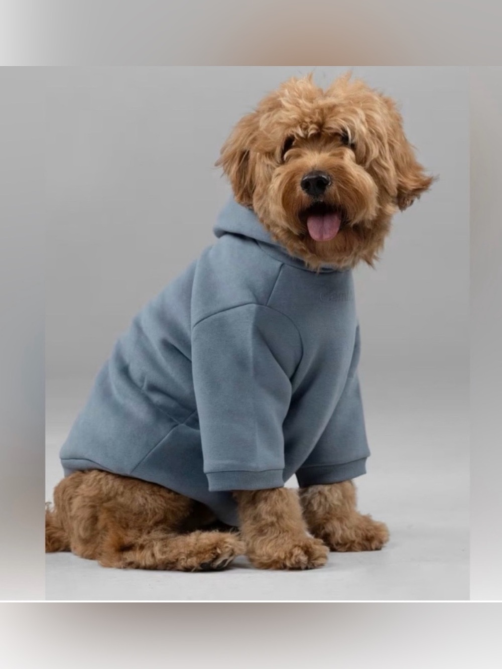 Comfrt signature paw dog hoodie XL